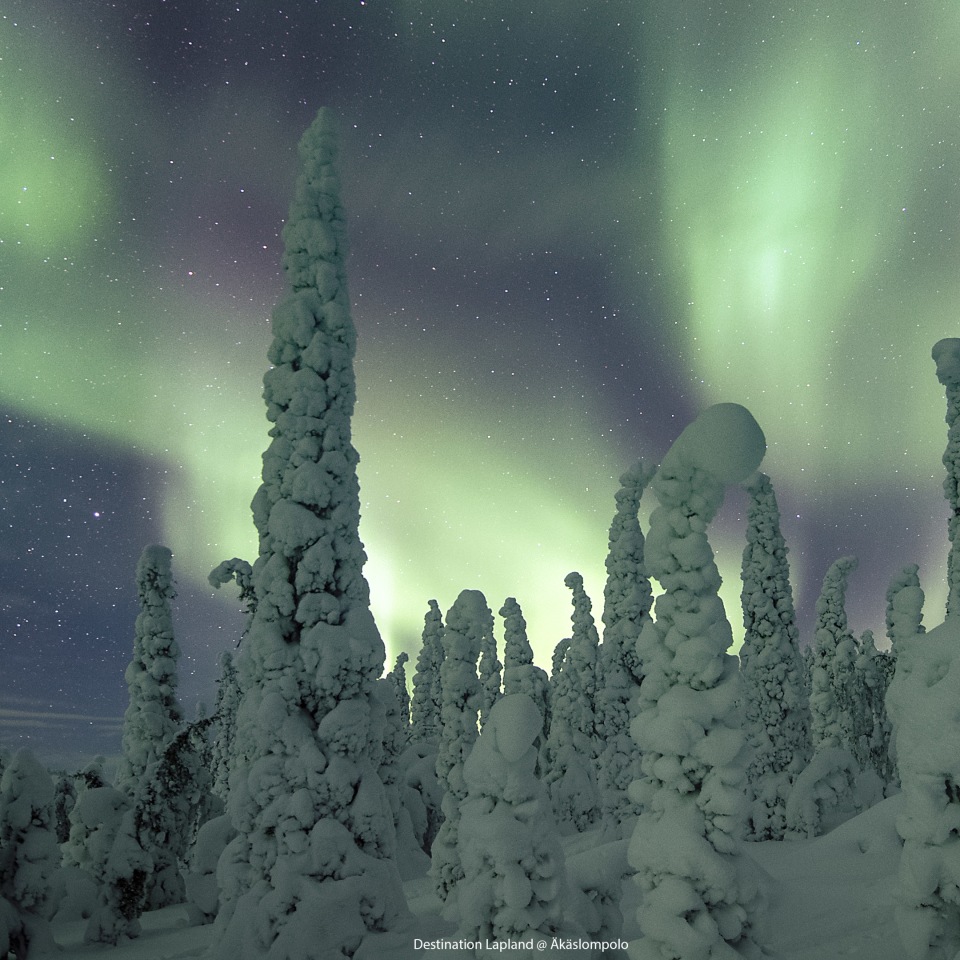 Nivunki Polarlichter